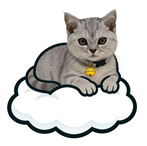 懒猫云Frontier